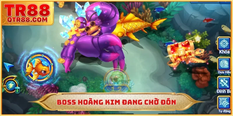 Boss hoàng kim đang chờ đón