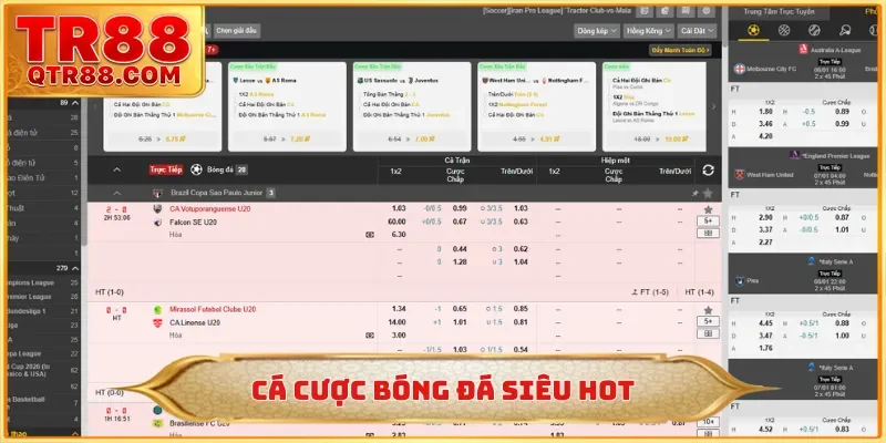 Cá cược bóng đá siêu hot