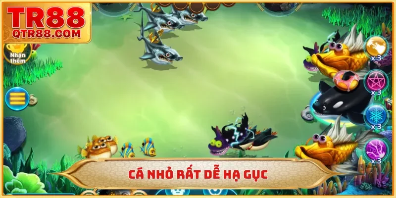 Cá nhỏ rất dễ hạ gục